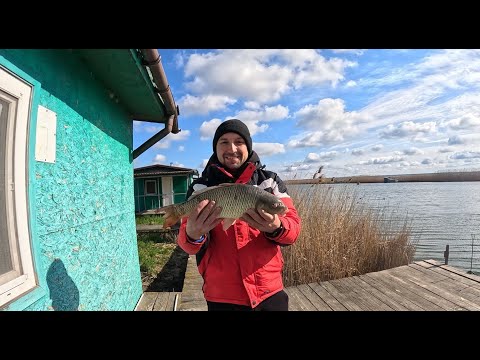 Видео: Демидовские домики. Рыбалка на карпа. Открытие сезона 2025.Ловля щуки. Клев как на черных камнях.