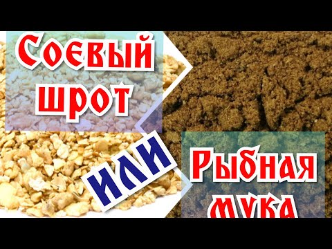 Видео: Соевый шрот или рыбная мука: что лучше для кур?