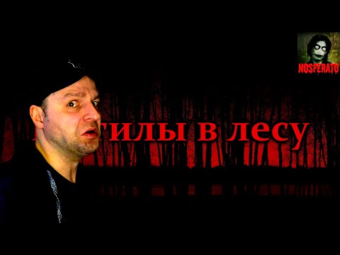 Видео: МОГИЛЫ В ЛЕСУ. Страшные истории на ночь. Страшилки на ночь. Реакция.