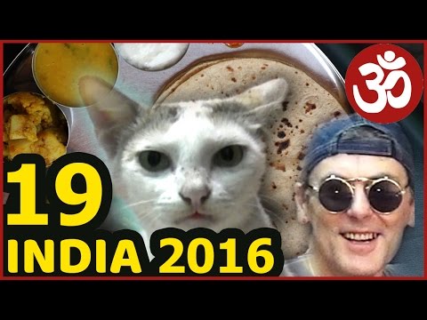Видео: ИНДИЯ 19. Нереальная Жизнь на Пляже Auro Beach. Не Goa! Беременная кошка. Крысы. Индийская кухня