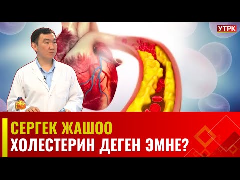 Видео: Холестерин деген эмне? | Сергек жашоо