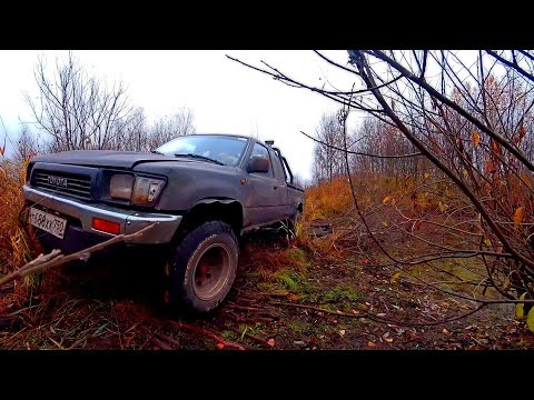Видео: Приехали забрать трубы, но нашли ещё больше всего. По бобровой плотине через канал!
