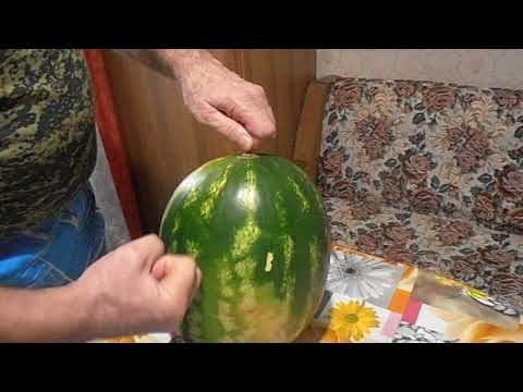 Видео: Как проверить Арбуз.