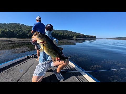 Видео: Bank on the Banks для осеннего транзитного баса (Гантерсвилль)