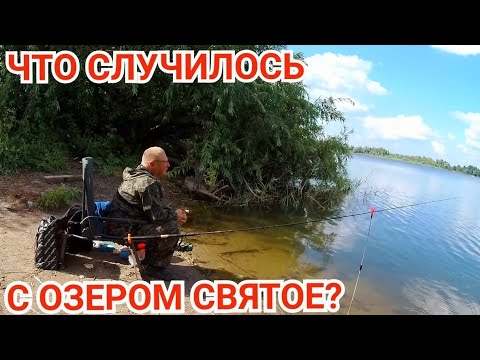 Видео: Ловил Подлещика, а Клевал...Трудовая Рыбалка на Шатурских Озерах