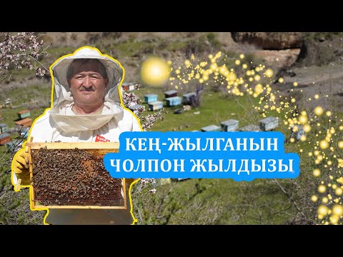 Видео: Кең-Жылганын балчы Чолпон Жылдызы
