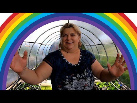 Видео: Волгоградская жемчужина аквариумистики Ирина