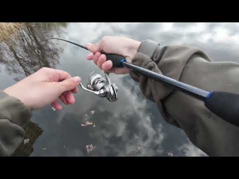 Видео: Чи можна ловити мормишкою на Ever Green Salty Sensation Neo Neos 610UL-S? Ловимо на млрмишку