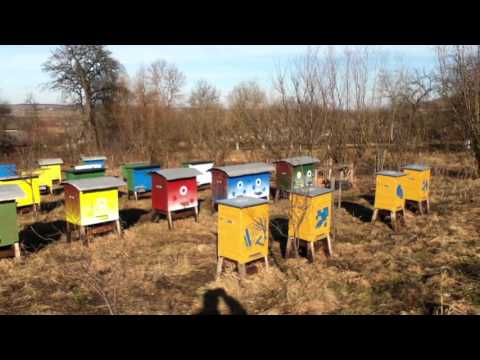 Видео: Зимове утеплення бджіл - 2
