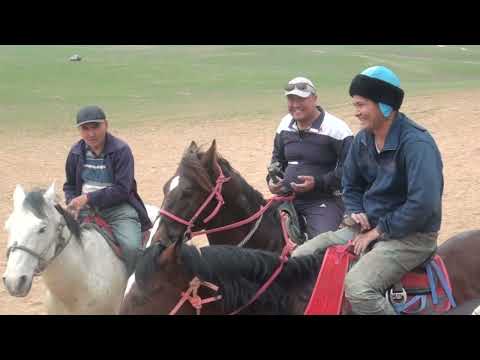 Видео: 11 03 23 Көкпар Сарыағаш Қарсыбаевтар әулеті