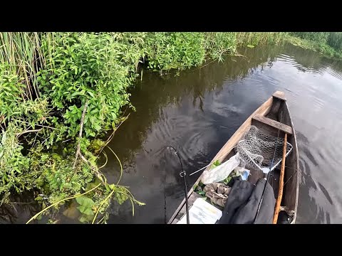 Видео: Трофейні риби на вузеньких річечках: Спінінгові пригоди