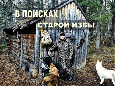 Видео: В ПОИСКАХ СТАРОЙ ИЗБЫ 30-х ГОДОВ ПОСТРОЙКИ. Как она сохранилась и что там можно найти?!