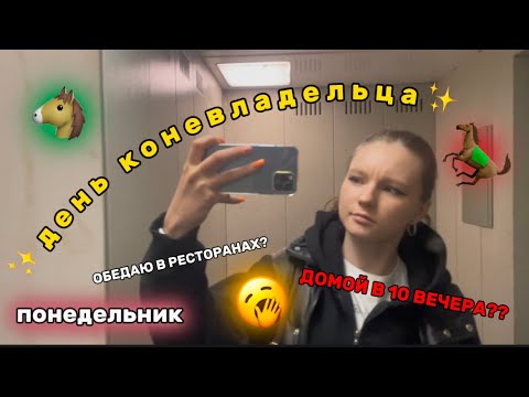 Видео: ДЕНЬ КОНЕВЛАДЕЛЬЦА | понедельник 🐎