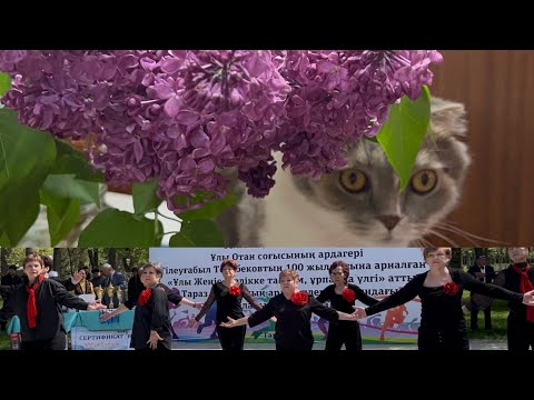 Видео: Поехали в Кайинды/ Праздник ко Дню Победы в парке Рыскулбекова/