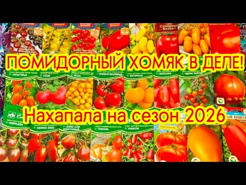 Видео: Семена томатов на сезон 2026. Закупилась от души!🙂