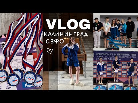 Видео: vlog | сзфо, соревнования по плаванию, Kaliningrad