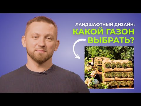Видео: Плюсы и минусы посевного и рулонного газона. Лекция 7.