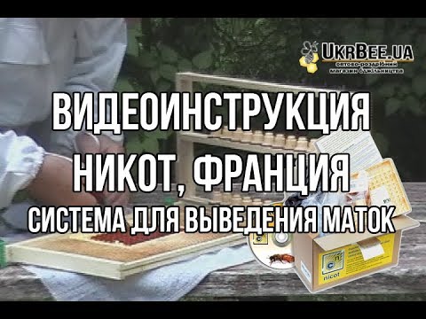 Видео: Никот Видеоинструкция система для выведения маток NICOT