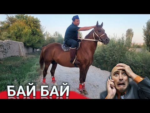 Видео: ОТНИ КУРИНГ БАЙ БАЙ.....#otbozor #horse #конноеранчо 