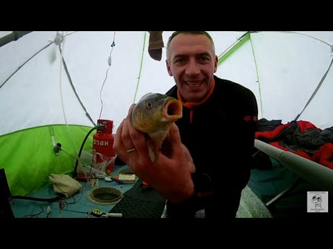 Видео: Ловля Карпа зимой, рыбалка на пруду!!!А будет ли клев?