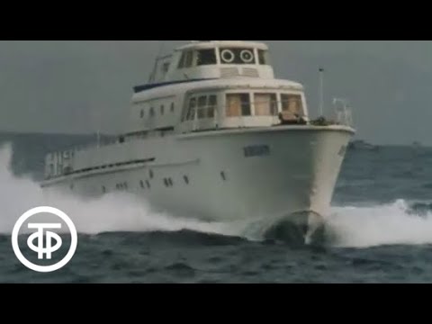 Видео: День, когда приплыла рыба... (1990)