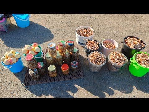 Видео: Торговля на трассе // хорошая торговля 🙋чтобы продать надо мазать 🤦//