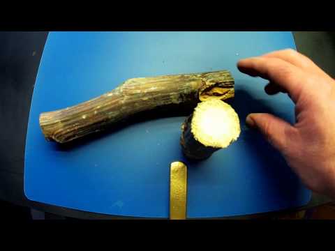 Видео: Супер  ПОПЛАВОК из ЛОПУХА для РЫБАКА  .do-it-yourself fishing float from burdock