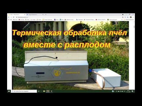 Видео: Термическая обработка пчёл с расплодом против клеща