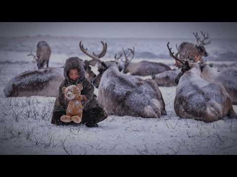 Видео: "Няхар” ӈавками" - Ненецкая Детская Песня