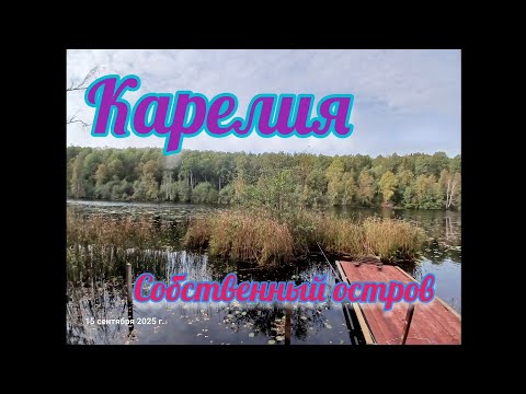 Видео: #карелия2025/Часть6/Остров/Пересадка клубники