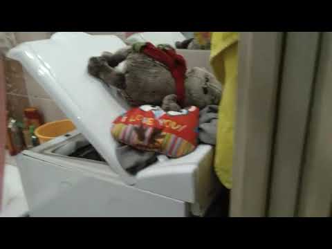 Видео: ПЯТЬ НОЧЕЙ С ПЛЮШЕВЫМИ ИГРУШКАМИ 5-АЯ РАБОЧАЯ НОЧЬ