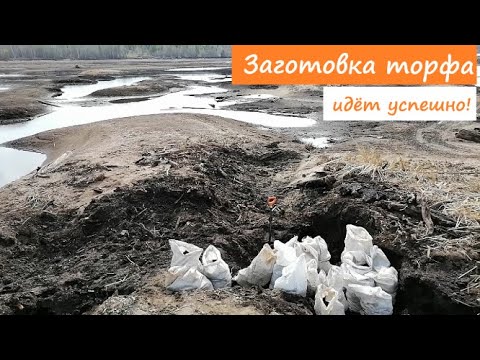 Видео: Заготовка САПРОПЕЛЯ. Удобрения НЕ НУЖНЫ! Где взять торф в больших объЁмах для рассады и огорода.