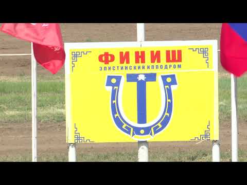 Видео: Элистинский ипподром 9 мая 2024