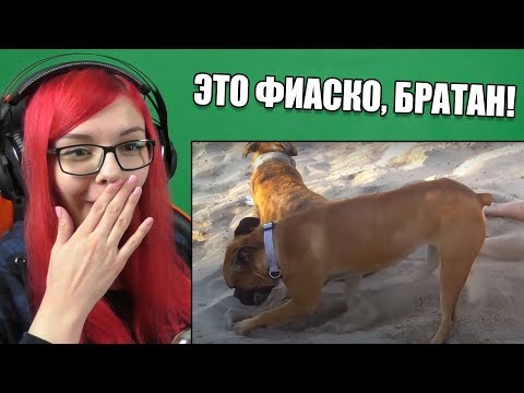 Видео: 20 СЛУЧАЕВ мгновенной кармы! ЭТО ФИАСКО, братан!