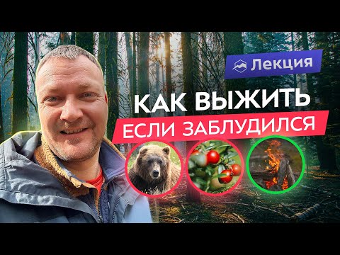 Видео: Выживание в лесу: что делать, если потерялся?