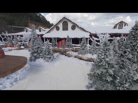 Видео: Далат, Вьетнам. День второй