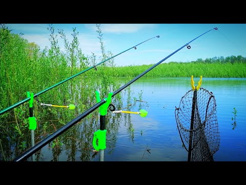 Видео: В ЦИХ КУЩАХ ПОВНО КРУПНОЇ РИБИ. Рибалка на донки кормаки