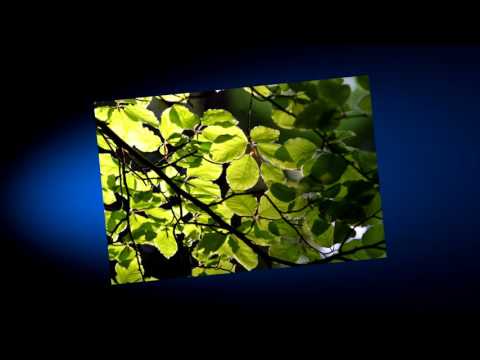 Видео: Аутогенная тренировка по Шульцу