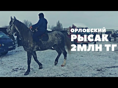 Видео: Алматы Маловодный Мал Базары🔥🔥🔥15.12.2019