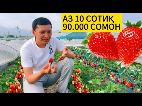 Видео: Даромад аз қулфинай / Азия, Клери, Мурано, Купчиха.