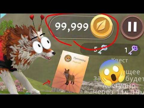 Видео: 99,999 монет что? 