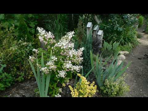 Видео: На дворе сентябрь но не будем спешить,давайте побудем в августе.Часть первая.