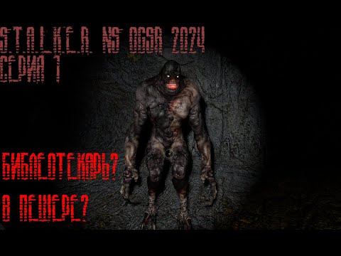 Видео: Ручной библиотекарь?|S.T.A.L.K.E.R. NS OGSR 2024|Серия 1
