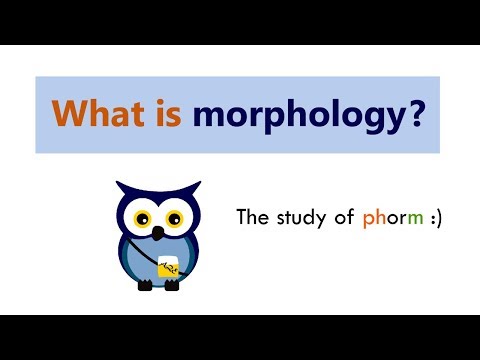 Видео: Что такое морфология?