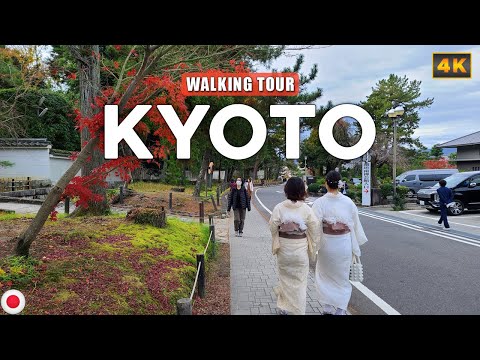 Видео: Киото ЯПОНИЯ - Осенняя прогулка по философской тропе 哲学の道, путешествие по красочной осенней листве