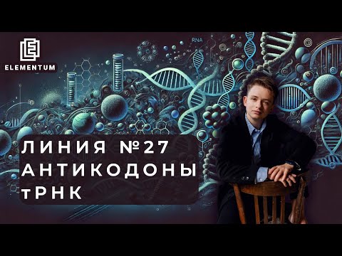 Видео: Алгоритм решения задач на биосинтез белка (линия №27): антикодоны тРНК | ЕГЭ по биологии | Elementum