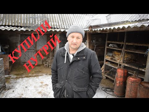 Видео: Перші кроки нутрієвода