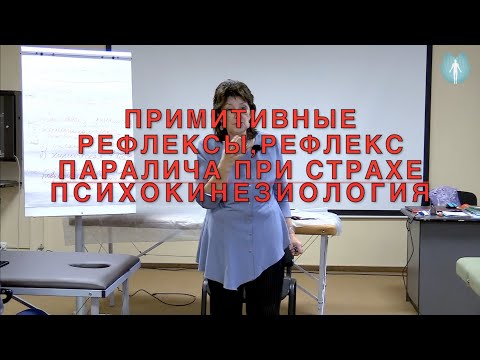 Видео: Рефлексы паралича при страхе. Примитивные рефлексы. Психокинезиология в прикладной кинезиологии