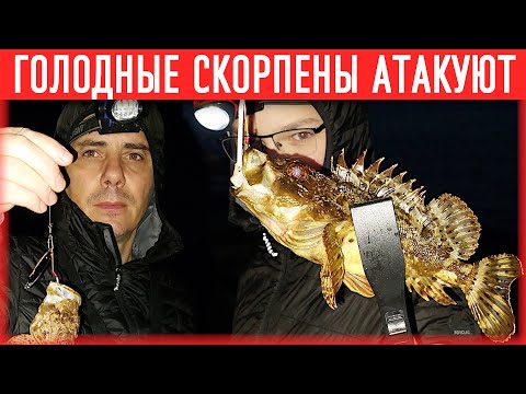 Видео: Скорпена на пилькер Ставрида на пилькер Ставрида на самодур  Ставрида как ловить Снасть на скорпену