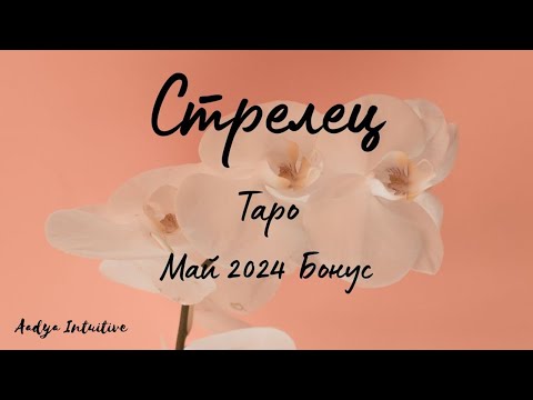 Видео: Стрелец ♐ Таро 🌻 Студено! Май Бонус'24